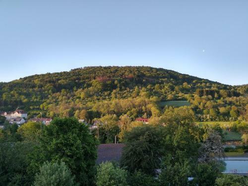 Ferienhaus Fr�ulein Frenz