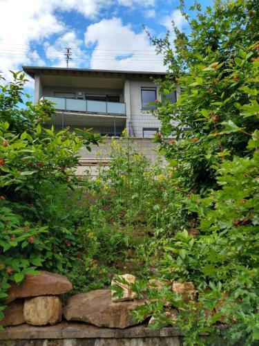 Ferienhaus Fr�ulein Frenz
