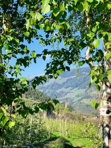 Bed & Breakfast Tannerhof