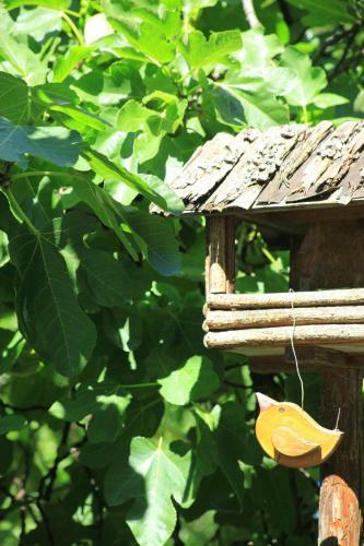 Bed & Breakfast Tannerhof