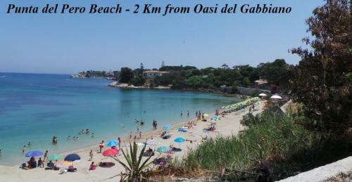 Bed & Breakfast Oasi Del Gabbiano