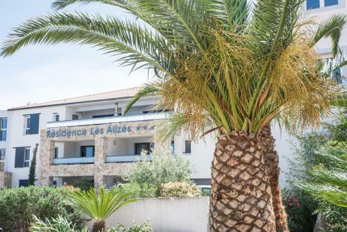 Aparthotel Les Aliz�s