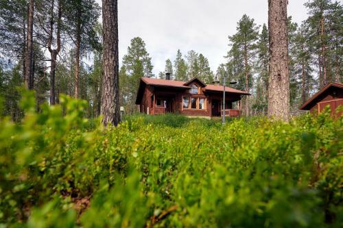 Viihtyis� Lomam�kki Levill�
