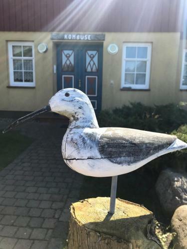Apartamento "steuermannskammer" By Ferienhaus Strandgut