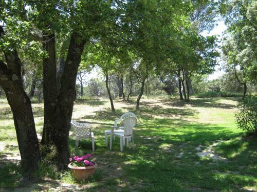 Bed & Breakfast Villa L'ambiance