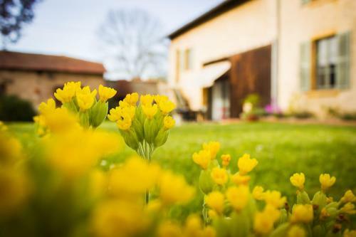Bed & Breakfast Aux Ronzi�res