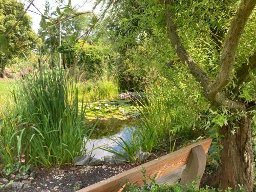 Bed & Breakfast Zweibettzimmer Pension Volgenandt