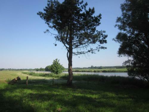 Reetdachhaus Eiderblick