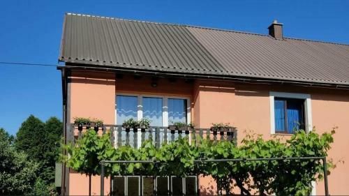 Apartman Niki