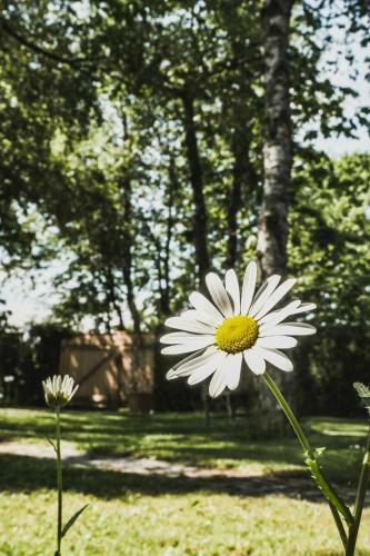 Apartamentos Ferienwohnung Tausendfreund Am Chiemsee