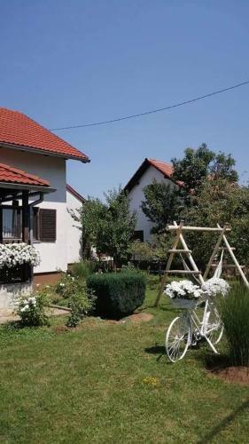 Lucija