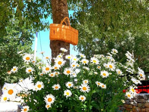 Relaxing Dalmatian House In Village