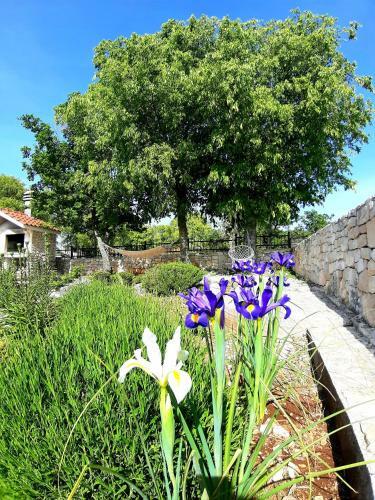Relaxing Dalmatian House In Village