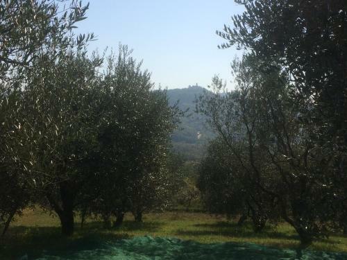 Apartamento Motovun Bellevue - Amazing View, Comfortable