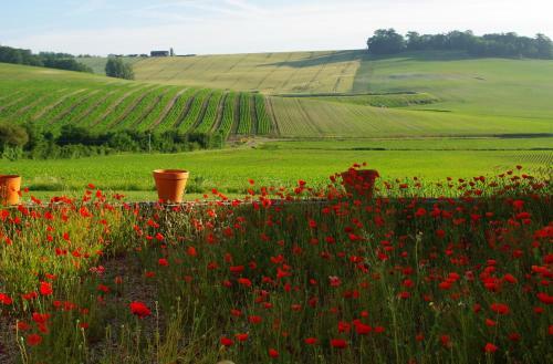 Le Hameau Des Coquelicots