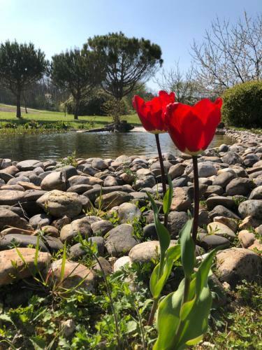 Le Hameau Des Coquelicots