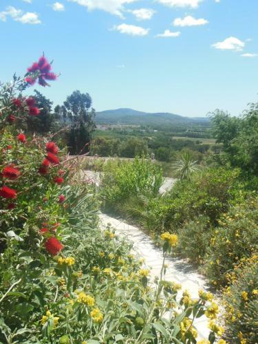Bed & Breakfast Aloasis