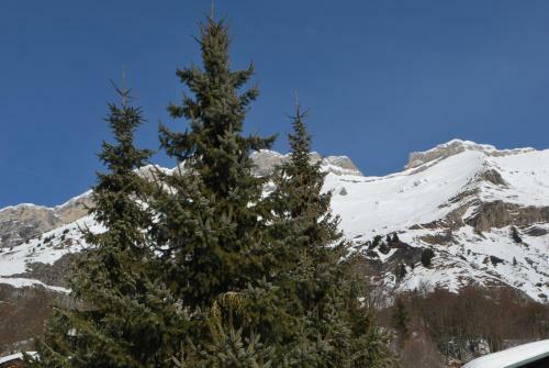 Le Flocon Des Aravis