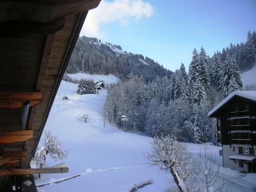 Apartamento La Desti�re