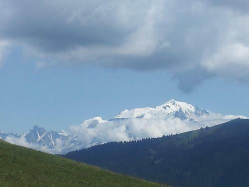 Chalet La Canop�e