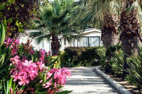 Holiday Marina Resort