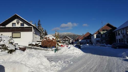 Apartamentos Harz Blick