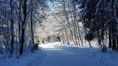 Apartamentos Harz Blick