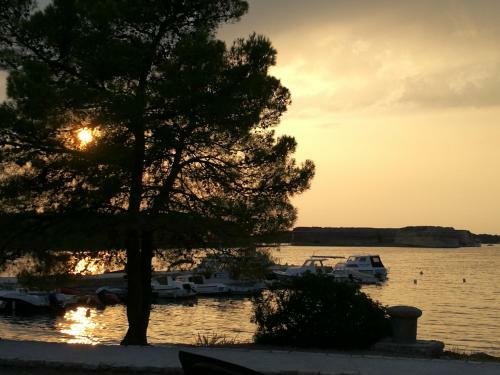 Hostal Guesthouse Villa Domenico