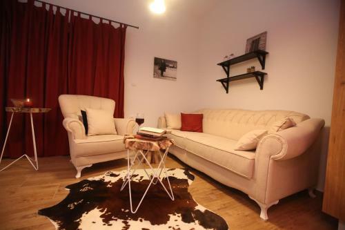 Apartman Delux Brki?