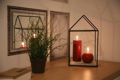 Apartman Delux Brki?