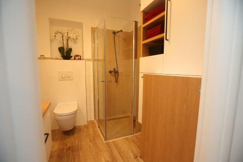 Apartman Delux Brki?