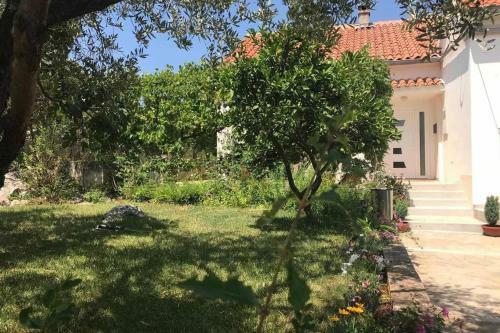 Orhideja Apartment