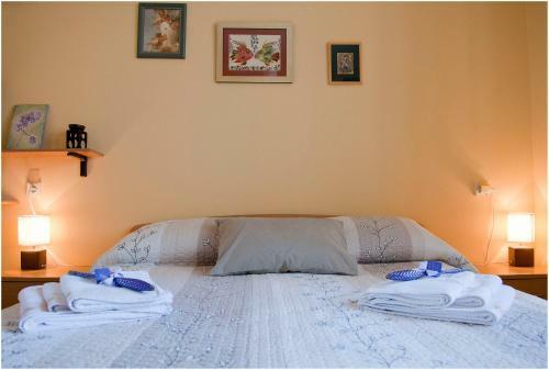 Stedi Apartment