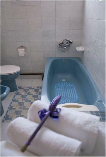 Stedi Apartment