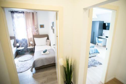 Beautiful Villa Julia, South Istria, Garden, Pool