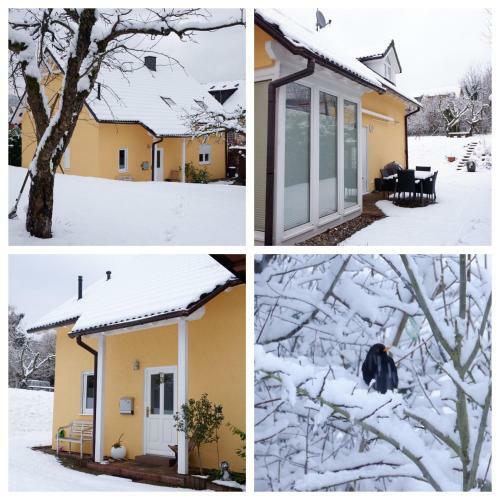 Ferienhaus Moseltraum
