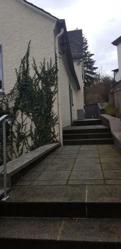 Mosel-ina
