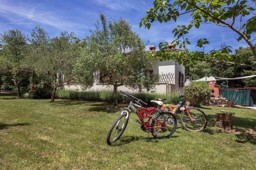 Holiday Home In Sisan/istrien 38180