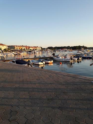 Apartmani Mia