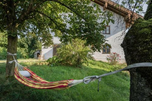Apartamento Bergmann