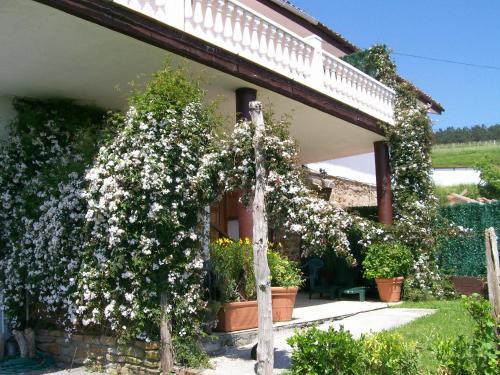 Agroturismo Kasa Barri