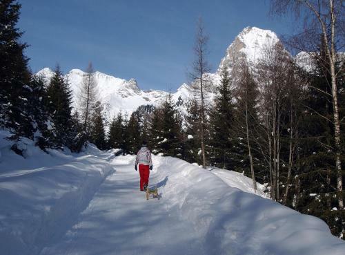 Alpin Hotel Gudrun