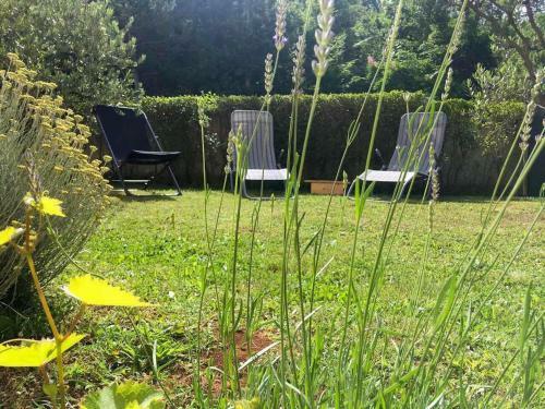 Studio Apartment 365