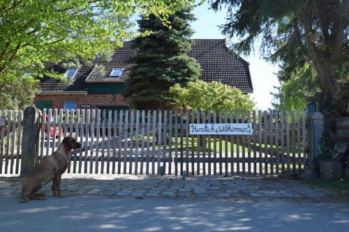 Apartamento Alpakatherapie Und Ferienhof Charlottenthal