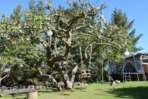 Apartamento Alpakatherapie Und Ferienhof Charlottenthal