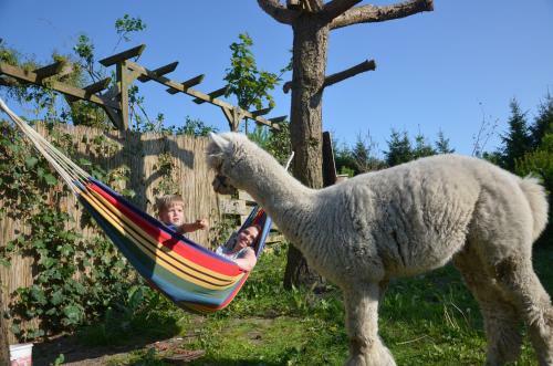 Apartamento Alpakatherapie Und Ferienhof Charlottenthal