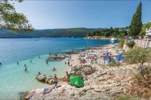 Comfortable Apartment In Barti?i