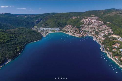 Comfortable Apartment In Barti?i