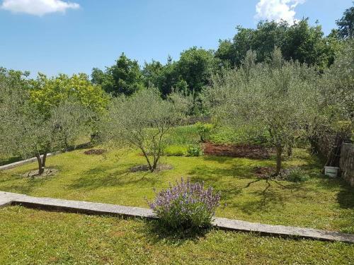 Apartmani Mariela