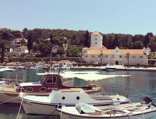 Apartment In Maslinica 70m From The Sea